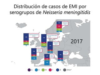 Distribución de casos de EMI por
serogrupos de Neisseria meningitidis
2017
 