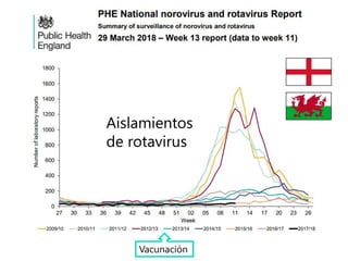 Vacunación
Aislamientos
de rotavirus
 
