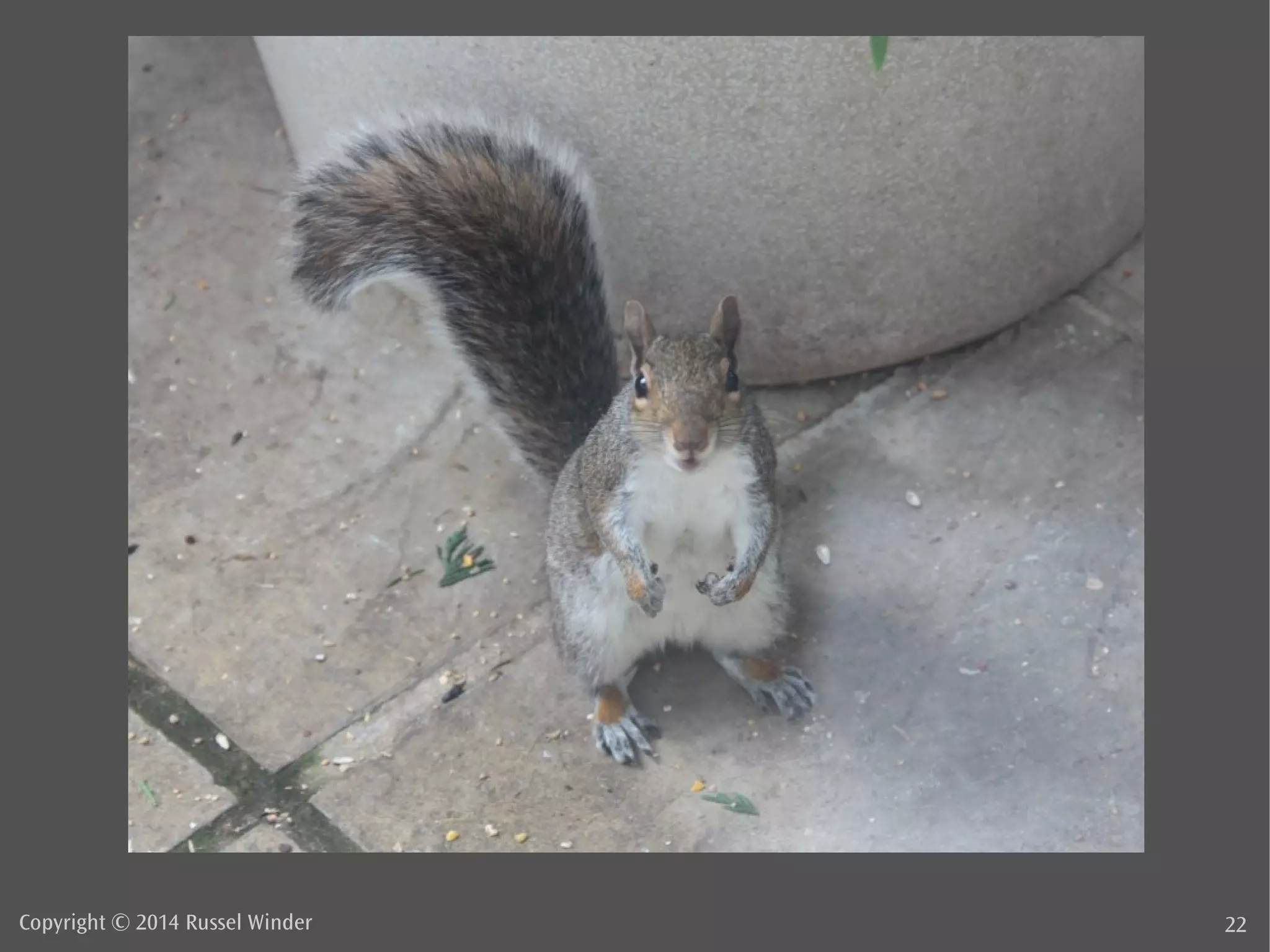 Copyright © 2014 Russel Winder 22 
 