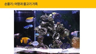 gPause Seoul 23회_너굴양과 '그림으로 마음챙김' (20170510) | PPT