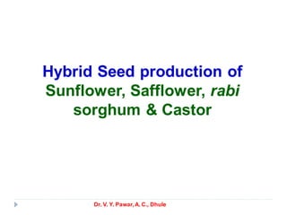 Hybrid Seed production of
Sunflower, Safflower, rabi
sorghum & Castor
Dr. V. Y. Pawar,A. C., Dhule
 