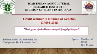 ICAR-INDIAN AGRICULTURAL
RESEARCH INSTITUTE
DIVISION OF PLANT PATHOLOGY
“Plant genes hijackedby necrotrophic fungal pathogens”
Credit seminar in Division of Genetics
GP691-2018
Seminar leader: Dr. Shailendra Jha
Chairperson: Dr. T. Prameela Devi
Speaker: Chaithra, M.
11580
PhD 1st year
 