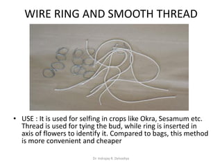 Vegetable Threading To study the plant breeder's kit's components | PDF