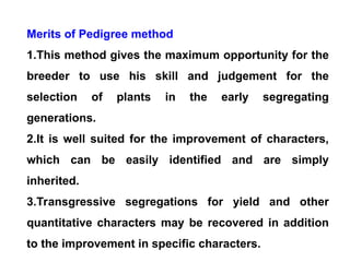 GPB212 Lec 15 Pedigree & Bulk methdos.ppt