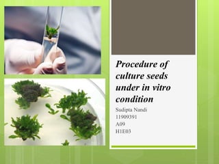 Procedure of
culture seeds
under in vitro
condition
Sudipta Nandi
11909391
A09
H1E03
 