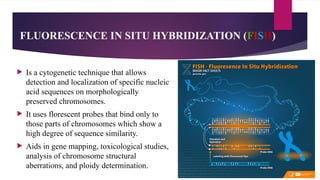 Karyotyping techniques, In-situ hybridization and various applications ...