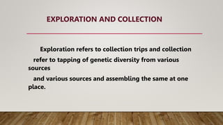 EXPLORATION AND COLLECTION
Exploration refers to collection trips and collection
refer to tapping of genetic diversity from various
sources
and various sources and assembling the same at one
place.
 