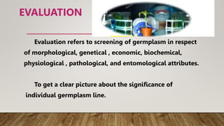 EVALUATION
Evaluation refers to screening of germplasm in respect
of morphological, genetical , economic, biochemical,
physiological , pathological, and entomological attributes.
To get a clear picture about the significance of
individual germplasm line.
 
