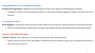 18
4. Identification of Conserved Regulatory Elements
•Comparative Epigenomics: Studying conserved epigenetic marks across species to understand gene regulation.
• Comparative analysis of DNA methylation patterns in maize lines identified epigenetic markers associated with stress
tolerance .
5. Cross-Species GWAS
•Trait Mapping: Using genome-wide association studies (GWAS) across species to identify genetic loci associated with traits.
• GWAS in wheat and barley identified loci associated with drought tolerance, providing targets for breeding programs.
6. Synteny and Collinearity Studies
•Genomic Synteny: Analyzing synteny to identify conserved gene order and organization.
• Synteny analysis between maize and sorghum identified conserved drought resistance genes, facilitating the transfer of
these traits between species .
 