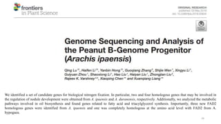 24
We identified a set of candidate genes for biological nitrogen fixation. In particular, two and four homologous genes that may be involved in
the regulation of nodule development were obtained from A. ipaensis and A. duranensis, respectively. Additionally, we analyzed the metabolic
pathways involved in oil biosynthesis and found genes related to fatty acid and triacylglycerol synthesis. Importantly, three new FAD2
homologous genes were identified from A. ipaensis and one was completely homologous at the amino acid level with FAD2 from A.
hypogaea.
 