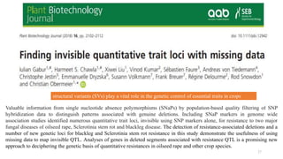 27
Valuable information from single nucleotide absence polymorphisms (SNaPs) by population-based quality filtering of SNP
hybridization data to distinguish patterns associated with genuine deletions. Including SNaP markers in genome wide
association studies identified numerous quantitative trait loci, invisible using SNP markers alone, for resistance to two major
fungal diseases of oilseed rape, Sclerotinia stem rot and blackleg disease. The detection of resistance-associated deletions and a
number of new genetic loci for blackleg and Sclerotinia stem rot resistance in this study demonstrate the usefulness of using
missing data to map invisible QTL. Analyses of genes in deleted segments associated with resistance QTL is a promising new
approach to deciphering the genetic basis of quantitative resistances in oilseed rape and other crop species.
structural variants (SVs) play a vital role in the genetic control of essential traits in crops
 