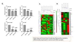 36
Heat map and hierarchical clustering of groundnut proteins
differentially expressed in control and HIGS samples
 