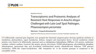 38
233 differentially expressed gene fragments were grouped into functional categories-genes showing significant similarity to
metabolism, photosynthesis, signal transduction, defence, transport and transcription factors. Several metabolism related
proteins were found to be differentially expressed such as sedoheptulose biphosphatase (SBPase), LEA protein, methionine
synthase, cellulose synthase, Exostosin like protein, glycine rich protein, NADH dehydrogenase, glyceraldehyde phosphate
dehydrogenase, peroxisomal fatty acid β-oxidation multifunctional protein, dihydroflavonol reductase, UDP glucosyl
transferases, GDSL-like Lipase/Acylhydrolase. ABC transporters etc. in the resistant genotype in comparison to the
susceptible variety.
 