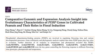 40
Phosphatidyl ethanolamine-binding proteins (PEBPs) are involved in regulating flowering time and various
developmental processes. Gene collinearity and phylogenetic analysis explain that some PEBP genes play key roles
in evolution. Further detection of its response to temperature and photoperiod revealed that PEBPs
ArahyM2THPA, ArahyEM6VH3, Arahy4GAQ4U, ArahyIZ8FG5, ArahyG6F3P2, ArahyLUT2QN,
ArahyDYRS20 and ArahyBBG51B were the key genes controlling the flowering response to different flowering
time genotypes, photoperiods and temperature.
 