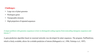 Challenges:
• Large size of plant genomes
• Paralogues genes
• Transposable elements
• High proportion of repeated sequences
A major problem with genomic sequences is how to distinguish coding regions from noncoding intergenic sequences and
introns !!
A gene-prediction algorithm based on neuronal networks was developed for plant sequences. The program, NetPlantGene,
which is freely available, allows for a reliable prediction of introns (Hebsgaard et al., 1996; Tolstrup et al., 1997).
44
 