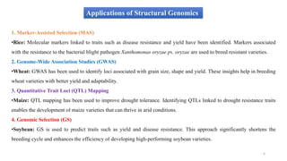 Applications of Structural Genomics
1. Marker-Assisted Selection (MAS)
•Rice: Molecular markers linked to traits such as disease resistance and yield have been identified. Markers associated
with the resistance to the bacterial blight pathogen Xanthomonas oryzae pv. oryzae are used to breed resistant varieties.
2. Genome-Wide Association Studies (GWAS)
•Wheat: GWAS has been used to identify loci associated with grain size, shape and yield. These insights help in breeding
wheat varieties with better yield and adaptability.
3. Quantitative Trait Loci (QTL) Mapping
•Maize: QTL mapping has been used to improve drought tolerance. Identifying QTLs linked to drought resistance traits
enables the development of maize varieties that can thrive in arid conditions.
4. Genomic Selection (GS)
•Soybean: GS is used to predict traits such as yield and disease resistance. This approach significantly shortens the
breeding cycle and enhances the efficiency of developing high-performing soybean varieties.
8
 