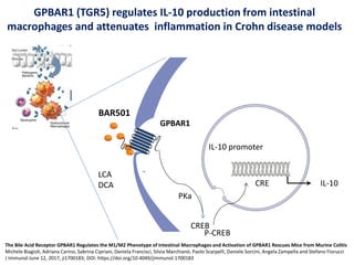 GPBAR1 (TGR5) regulates IL-10 production from intestinal
macrophages and attenuates inflammation in Crohn disease models
PKa
CREB
BAR501
LCA
DCA CRE
IL-10 promoter
IL-10
P-CREB
The Bile Acid Receptor GPBAR1 Regulates the M1/M2 Phenotype of Intestinal Macrophages and Activation of GPBAR1 Rescues Mice from Murine Colitis
Michele Biagioli, Adriana Carino, Sabrina Cipriani, Daniela Francisci, Silvia Marchianò, Paolo Scarpelli, Daniele Sorcini, Angela Zampella and Stefano Fiorucci
J Immunol June 12, 2017, ji1700183; DOI: https://doi.org/10.4049/jimmunol.1700183
GPBAR1
 