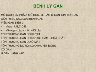 BỆNH LÝ GAN
MỞ ĐẦU: GiẢI PHẪU, MÔ HỌC, TẾ BÀO Ở GAN. SINH LÝ GAN
GiỚI THIỆU CÁC LOẠI BỆNH GAN
VIÊM GAN SIÊU VI
- Virus : A,B,C,D,E
- Viêm gan cấp – mãn – tối cấp
TỔN THƯƠNG GAN DO RƯỢU
TỔN THƯƠNG GAN DO DƯỢC PHẨM – HÓA CHẤT
TỔN THƯƠNG GAN DO Ứ MẬT
TỔN THƯƠNG DO RỐI LOẠN HUYẾT ĐỘNG
XƠ GAN
U GAN: LÀNH - ÁC
 
