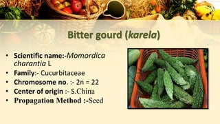 Bitter gourd (karela)
• Scientific name:-Momordica
charantia L
• Family:- Cucurbitaceae
• Chromosome no. :- 2n = 22
• Center of origin :- S.China
• Propagation Method :-Seed
 
