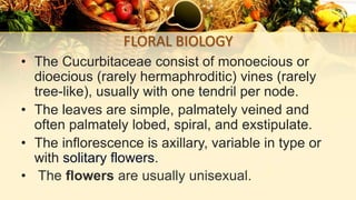 FLORAL BIOLOGY
• The Cucurbitaceae consist of monoecious or
dioecious (rarely hermaphroditic) vines (rarely
tree-like), usually with one tendril per node.
• The leaves are simple, palmately veined and
often palmately lobed, spiral, and exstipulate.
• The inflorescence is axillary, variable in type or
with solitary flowers.
• The flowers are usually unisexual.
 
