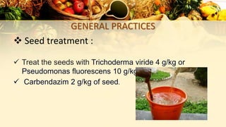 GENERAL PRACTICES
 Seed treatment :
 Treat the seeds with Trichoderma viride 4 g/kg or
Pseudomonas fluorescens 10 g/kg
 Carbendazim 2 g/kg of seed.
 