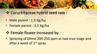  Cucurbitaceae hybrid seed rate :
• Male parent : 1.5 Kg/ha
• Female parent : 3.5 Kg/ha
 Female flower increased by :
• Spraying of Ethrel 200-250 ppm at two true stage and
after a week of 1st spray
 