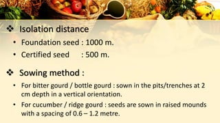  Isolation distance
• Foundation seed : 1000 m.
• Certified seed : 500 m.
 Sowing method :
• For bitter gourd / bottle gourd : sown in the pits/trenches at 2
cm depth in a vertical orientation.
• For cucumber / ridge gourd : seeds are sown in raised mounds
with a spacing of 0.6 – 1.2 metre.
 