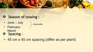 • June – July
• February-
March
 Season of sowing :
 Spacing :
• 45 cm x 45 cm spacing.(differ as per plant)
Generally
 