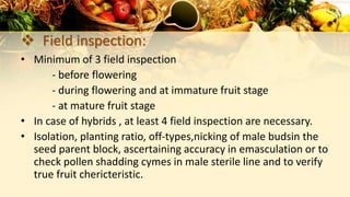  Field inspection:
• Minimum of 3 field inspection
- before flowering
- during flowering and at immature fruit stage
- at mature fruit stage
• In case of hybrids , at least 4 field inspection are necessary.
• Isolation, planting ratio, off-types,nicking of male budsin the
seed parent block, ascertaining accuracy in emasculation or to
check pollen shadding cymes in male sterile line and to verify
true fruit chericteristic.
 