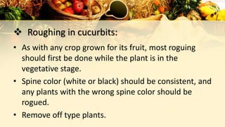  Roughing in cucurbits:
• As with any crop grown for its fruit, most roguing
should first be done while the plant is in the
vegetative stage.
• Spine color (white or black) should be consistent, and
any plants with the wrong spine color should be
rogued.
• Remove off type plants.
 