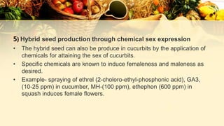 5) Hybrid seed production through chemical sex expression
• The hybrid seed can also be produce in cucurbits by the application of
chemicals for attaining the sex of cucurbits.
• Specific chemicals are known to induce femaleness and maleness as
desired.
• Example- spraying of ethrel (2-choloro-ethyl-phosphonic acid), GA3,
(10-25 ppm) in cucumber, MH-(100 ppm), ethephon (600 ppm) in
squash induces female flowers.
 
