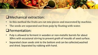 Mechanical extraction:
• In this method the fruits are cut into pieces and macerated by machine.
• The seeds are separated out from pulp by floating with water.
Fermentation:
• Pulp is allowed to ferment in wooden or non-metallic barrels for about
30hrs with occasional stirring to prevent groth of moulds of seed surface.
• Separated clean seeds sink to the bottom and can be collected,washed
and dried. Separated by rubbing with hand.
 