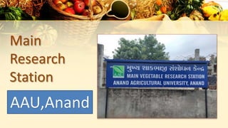 Main
Research
Station
AAU,Anand
 