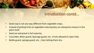 Introduction contd…
• Seed crop is not any way different from vegetable crops..
• Instead of picking fruits at vegetable maturity,they are allowed to mature in the
plant itself.
• Seed are extracted in full maturity.
• Cucumber, Bitter guard, Spounge guard, etc. ;Fruits allowed to ripen fully.
• Bottle guard, sponge guard, etc. ; Even letting them dry .
 