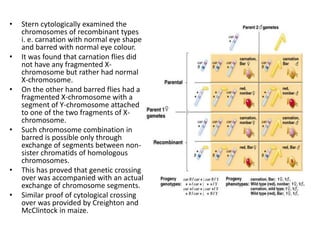 gpbr111lecture15cytologicalproofforcrossingover-191101060023.pdf