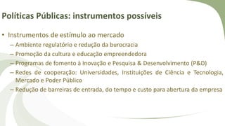 Políticas Públicas: instrumentos possíveis
• Instrumentos de estímulo ao mercado
– Ambiente regulatório e redução da burocracia
– Promoção da cultura e educação empreendedora
– Programas de fomento à Inovação e Pesquisa & Desenvolvimento (P&D)
– Redes de cooperação: Universidades, Instituições de Ciência e Tecnologia,
Mercado e Poder Público
– Redução de barreiras de entrada, do tempo e custo para abertura da empresa
 