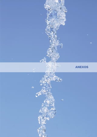 Guía de práctica clínica de detección y actuación en salud mental ante las mujeres maltratadas por su pareja
113
ANEXOS
 