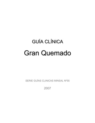 GUÍA CLÍNICA

Gran Quemado


SERIE GUÍAS CLINICAS MINSAL Nº55


             2007
 