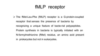 G protein coupled receptor