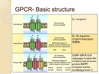 15
GPCR- Basic structure
 