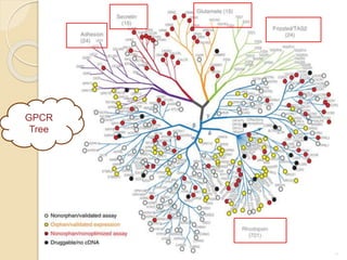 18
GPCR
Tree
 