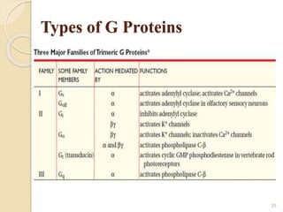 Types of G Proteins
25
 