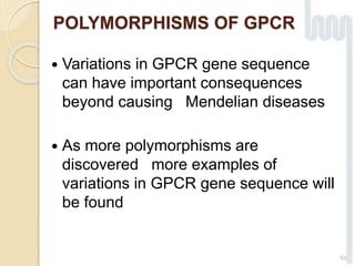 POLYMORPHISMS OF GPCR
 Variations in GPCR gene sequence
can have important consequences
beyond causing Mendelian diseases
 As more polymorphisms are
discovered more examples of
variations in GPCR gene sequence will
be found
53
 