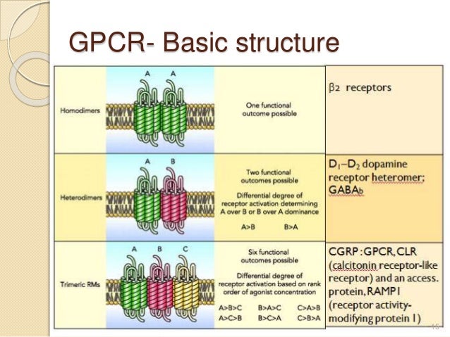 g protein coupled receptors