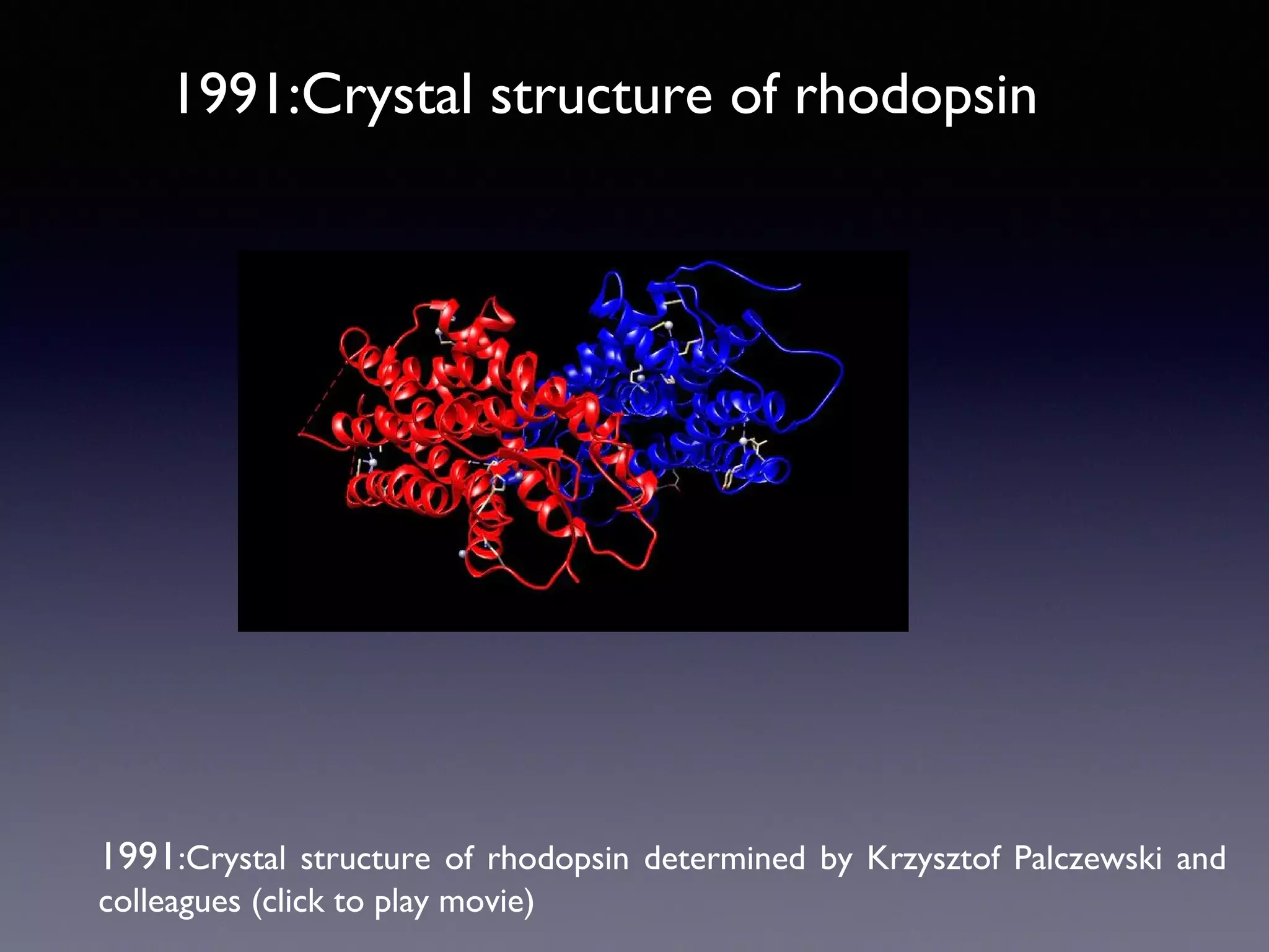 1991:Crystal structure of rhodopsin

1991:Crystal structure of rhodopsin determined by Krzysztof Palczewski and
colleagues (click to play movie)

 