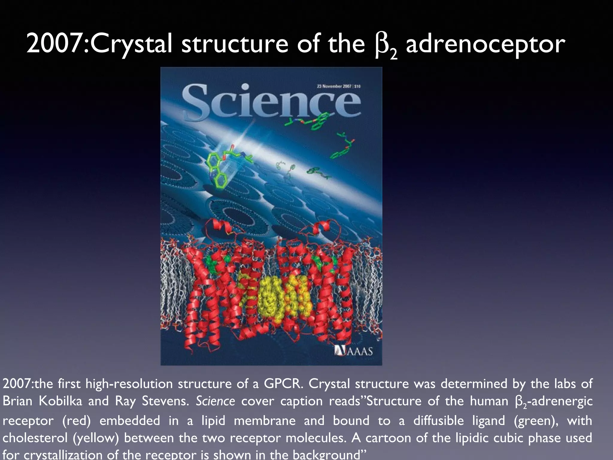 2007:Crystal structure of the β2 adrenoceptor

2007:the first high-resolution structure of a GPCR. Crystal structure was determined by the labs of
Brian Kobilka and Ray Stevens. Science cover caption reads”Structure of the human β2-adrenergic
receptor (red) embedded in a lipid membrane and bound to a diffusible ligand (green), with
cholesterol (yellow) between the two receptor molecules. A cartoon of the lipidic cubic phase used
for crystallization of the receptor is shown in the background”

 