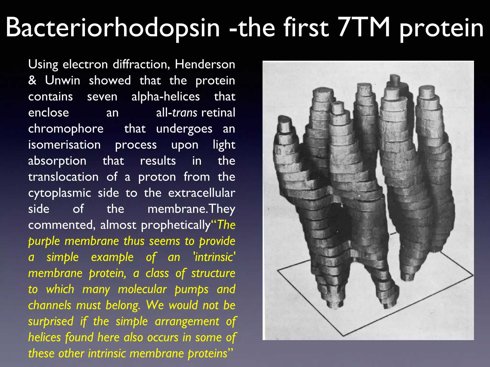 Bacteriorhodopsin -the first 7TM protein
Using electron diffraction, Henderson
& Unwin showed that the protein
contains seven alpha-helices that
enclose
an
all-trans retinal
chromophore
that undergoes an
isomerisation process upon light
absorption that results in the
translocation of a proton from the
cytoplasmic side to the extracellular
side
of
the
membrane.They
commented, almost prophetically“The
purple membrane thus seems to provide
a simple example of an 'intrinsic'
membrane protein, a class of structure
to which many molecular pumps and
channels must belong. We would not be
surprised if the simple arrangement of
helices found here also occurs in some of
these other intrinsic membrane proteins”

 