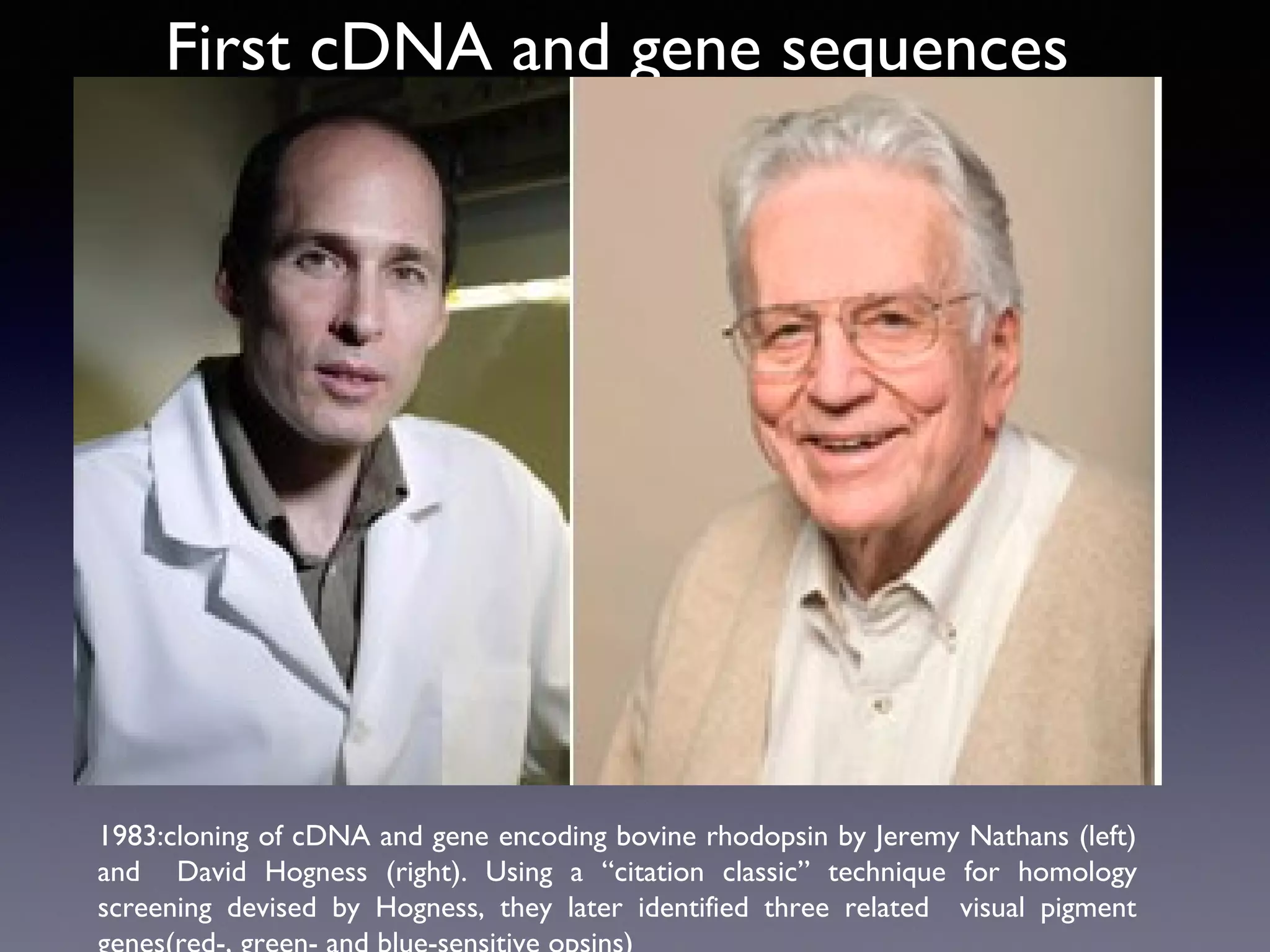 First cDNA and gene sequences

1983:cloning of cDNA and gene encoding bovine rhodopsin by Jeremy Nathans (left)
and David Hogness (right). Using a “citation classic” technique for homology
screening devised by Hogness, they later identified three related visual pigment

 
