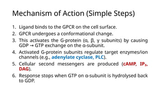 G-Protein-Coupled Receptors (GPCRs): Structure, Mechanism, and ...