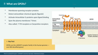 Gpcr Ras Comprehensive Overview of G-Protein Coupled Receptors (GPCRs) in Cell ...